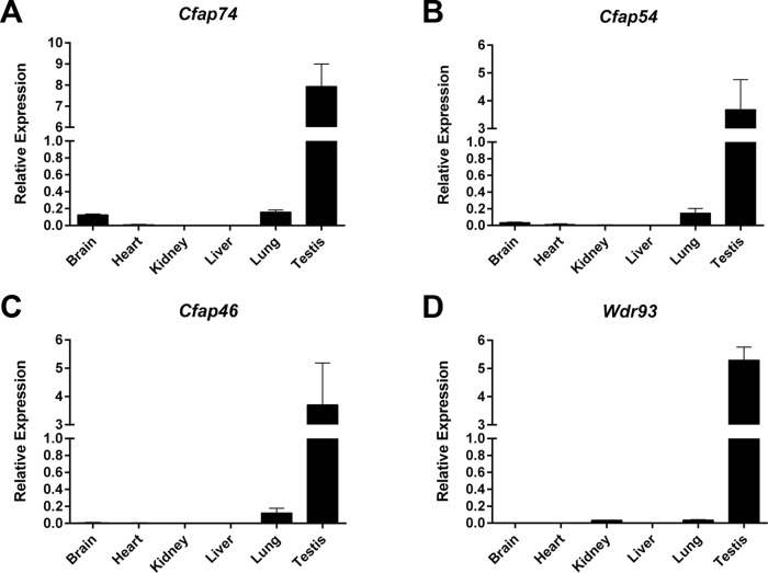 FIGURE 1: