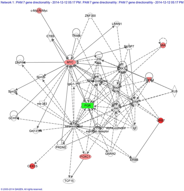 Supplemental Figure 1