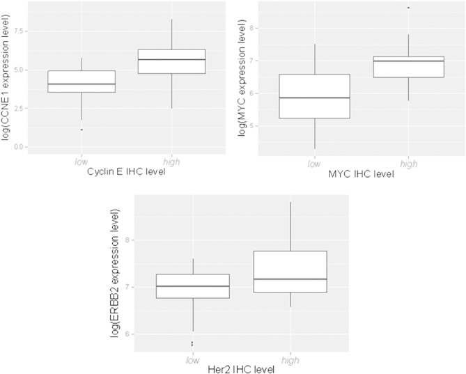 Supplemental Figure 2