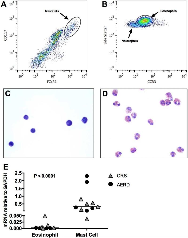 FIG 2