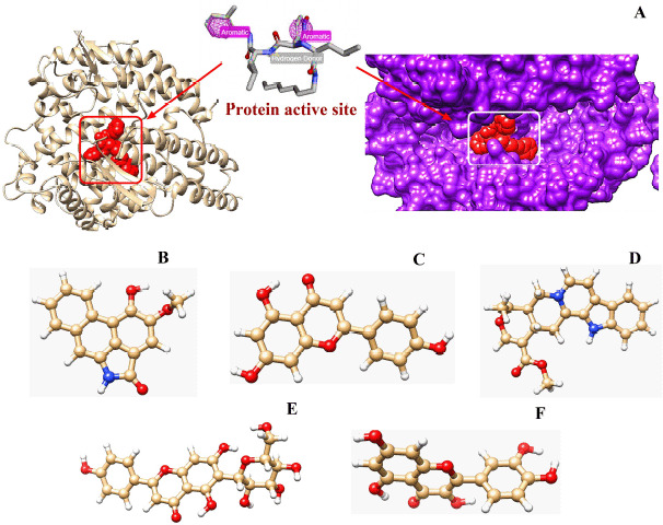 Figure 1.