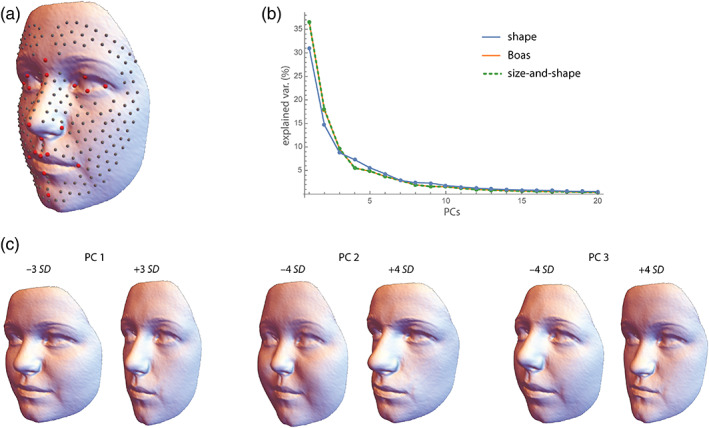 FIGURE 1