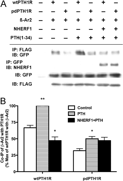 Fig. 8.