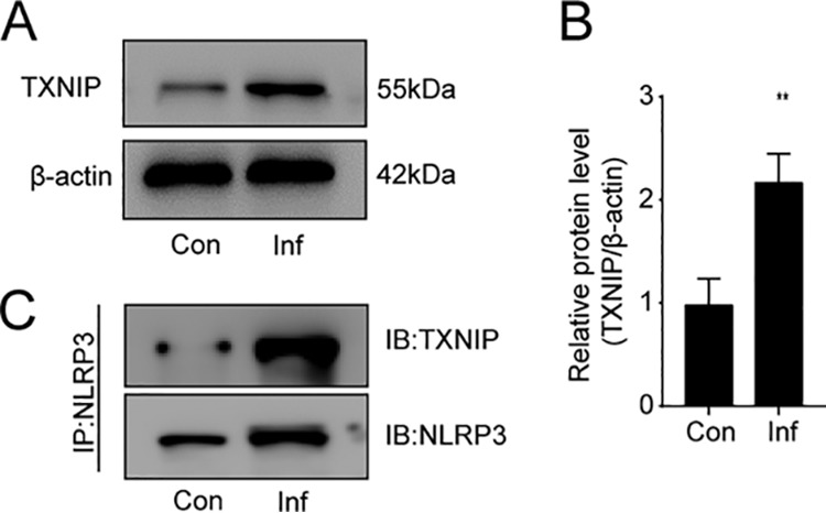 FIG 3