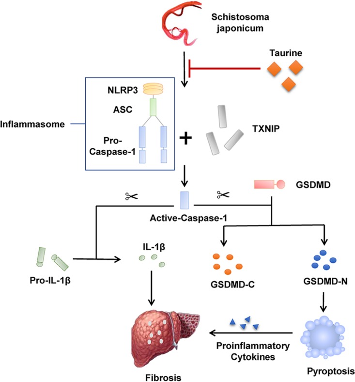 FIG 6