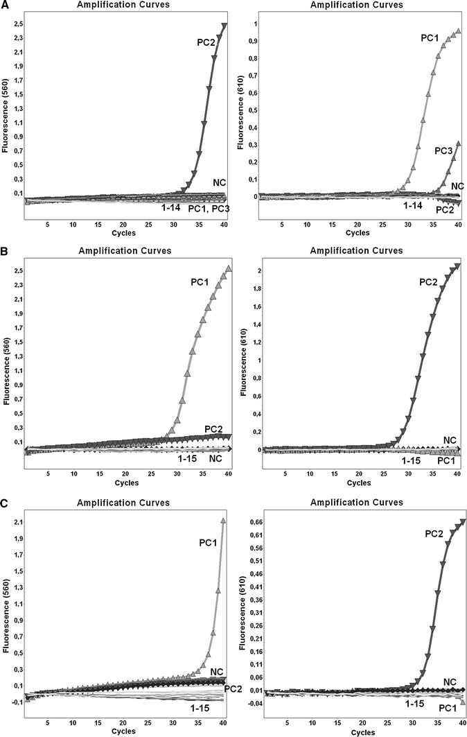 Fig. 1