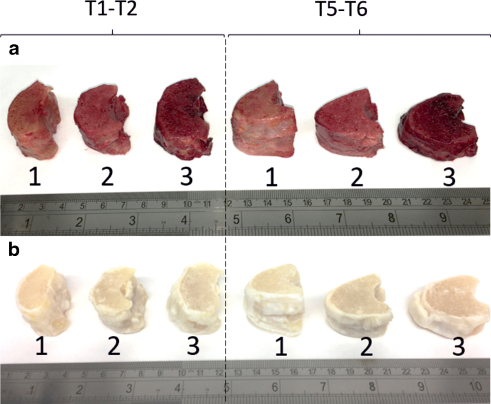 FIG. 6.