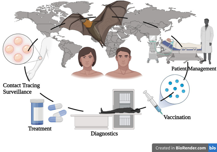 GRAPHICAL ABSTRACT