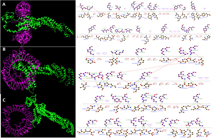 Fig 6