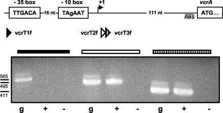 FIG. 5.