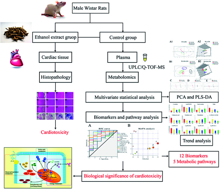 graphic file with name c7ra12247k-ga.jpg