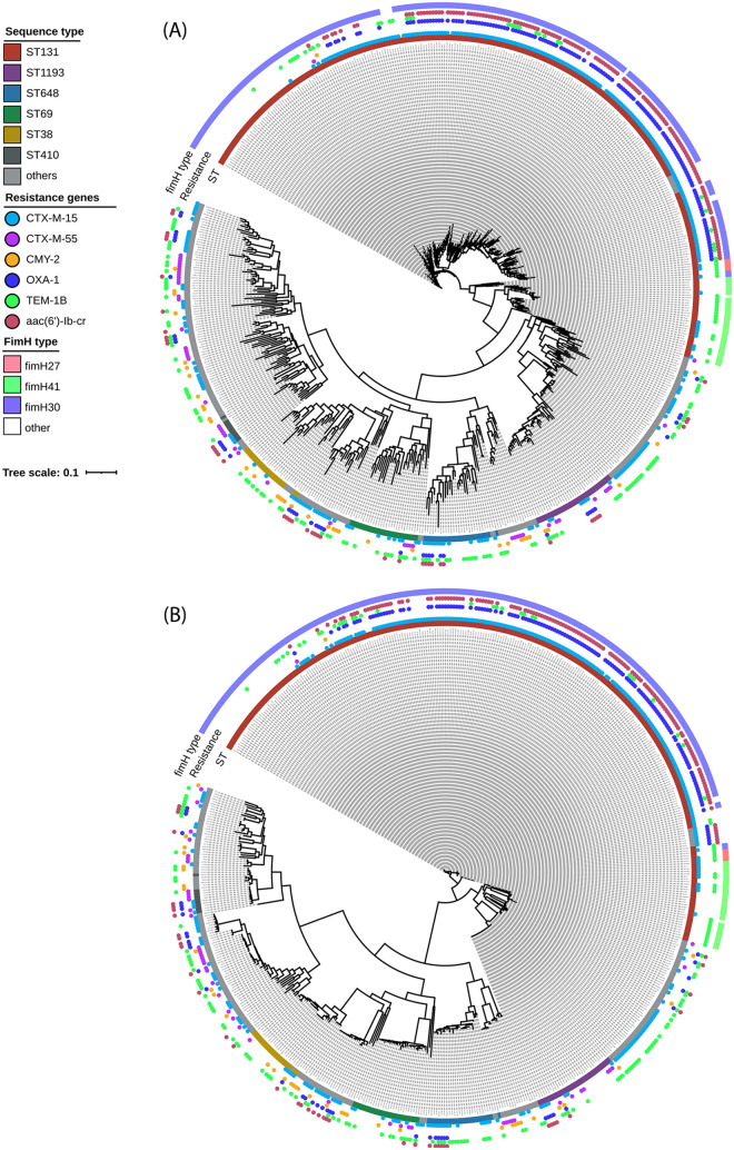 FIG 6