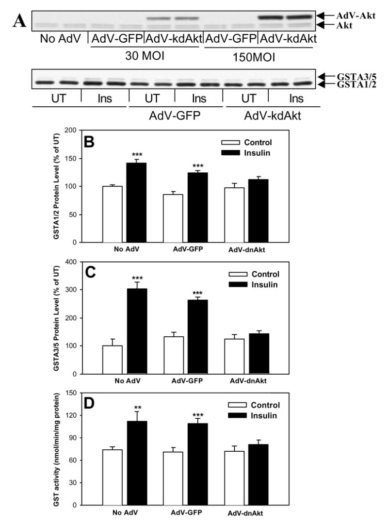 Fig. 17