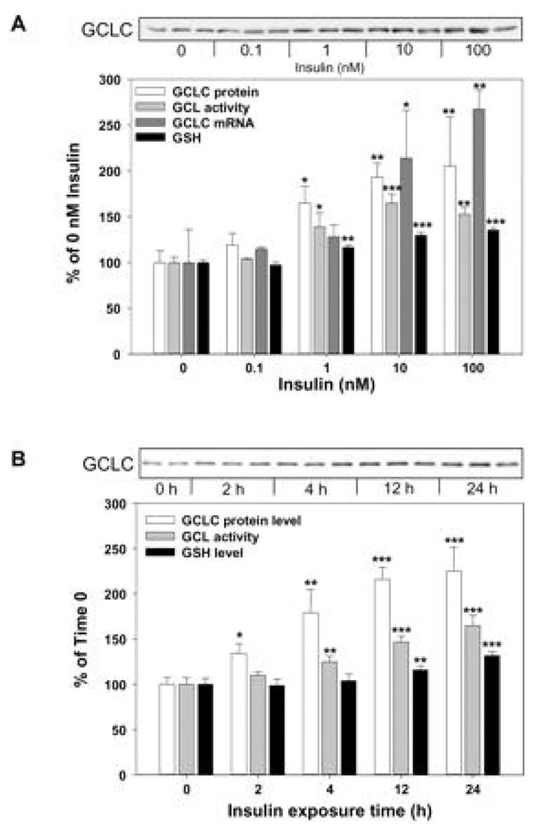 Fig. 18