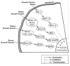 Fig. 8