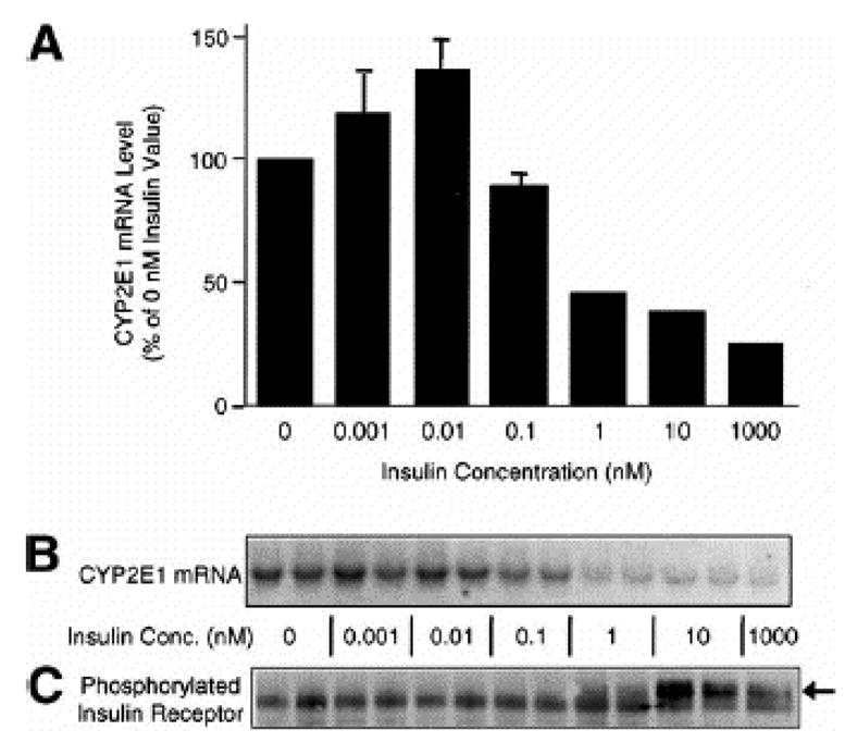 Fig. 13