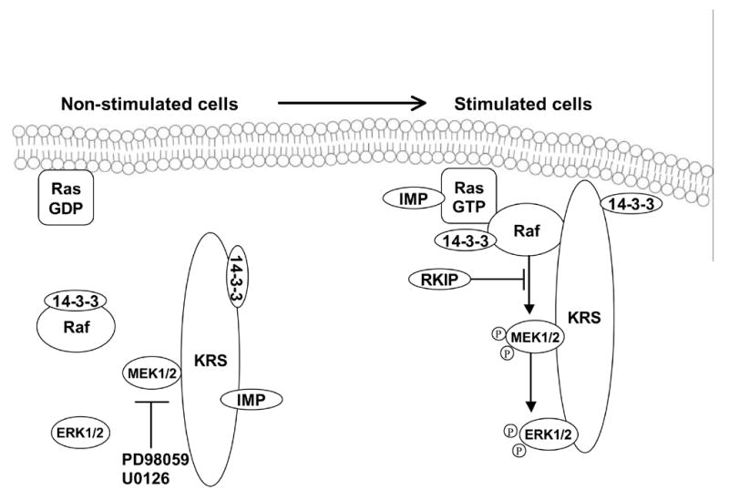 Fig. 11