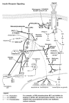Fig. 12