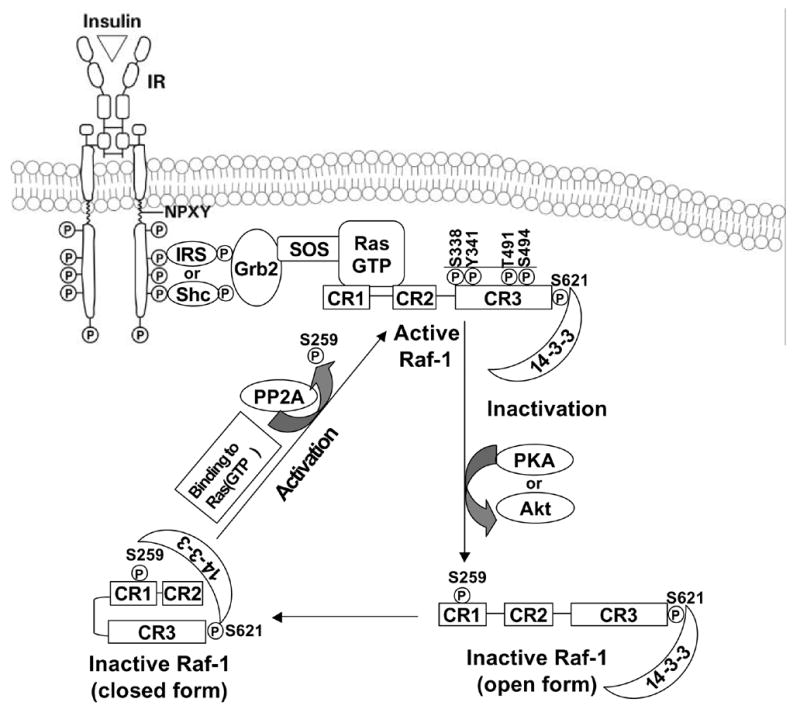 Fig. 10