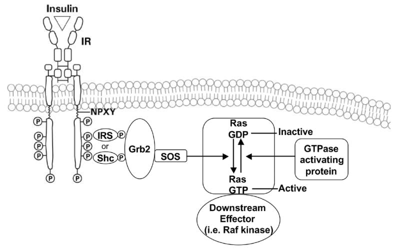 Fig. 9