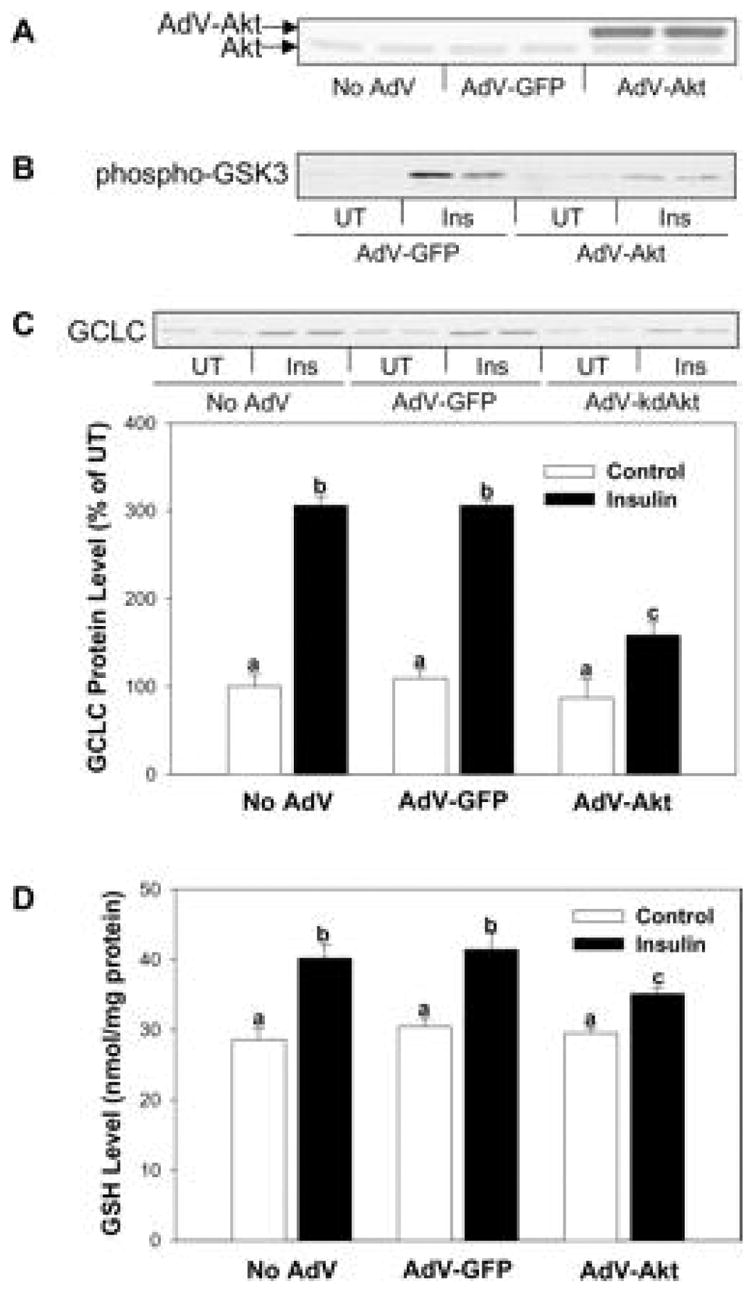 Fig. 19