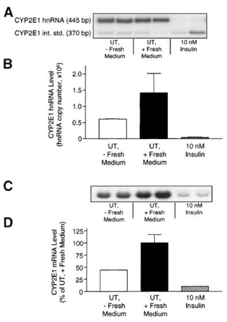 Fig. 15