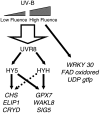 Figure 7.