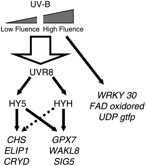 Figure 7.