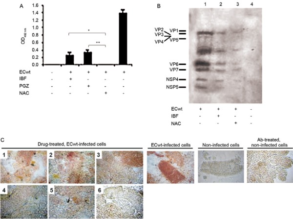 Fig. 3: 