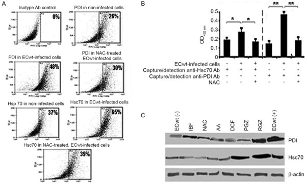 Fig. 6: 