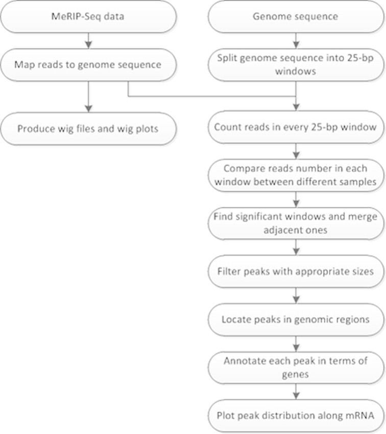 Supplementary Fig. S1