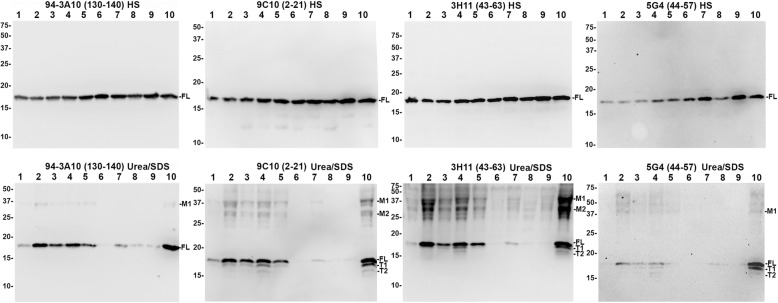 Fig. 9