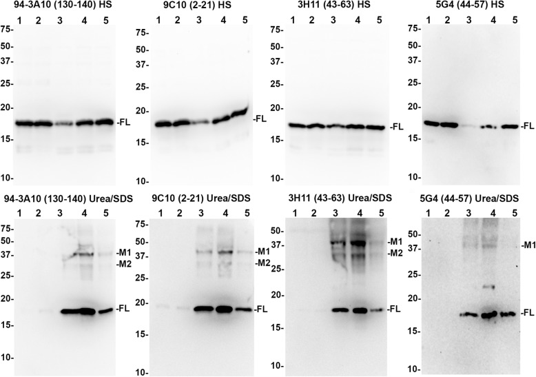 Fig. 10