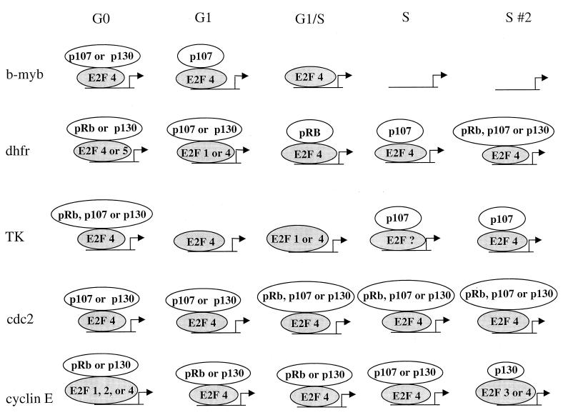 FIG. 8