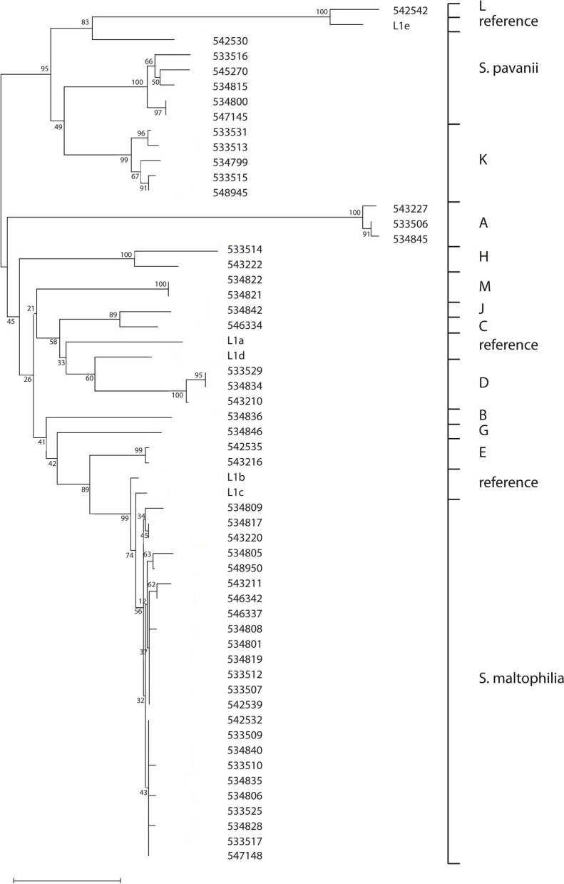 Fig. 4