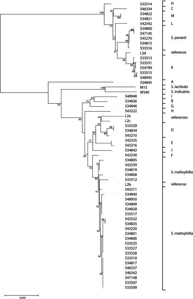 Fig. 5