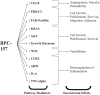 High-level overview of pathways modulated by BPC-157. Notable mediators include VEGF, ERK1/2, FAK, KRAS, AKT, NOS, COX2, MPO, IL-6, TNF-α.