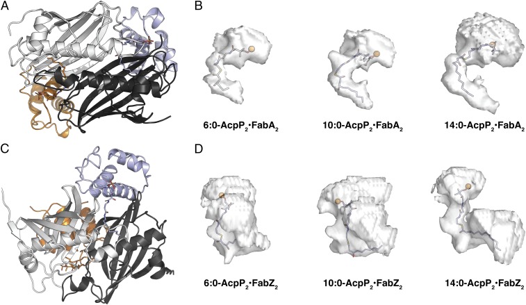 Fig. 8.