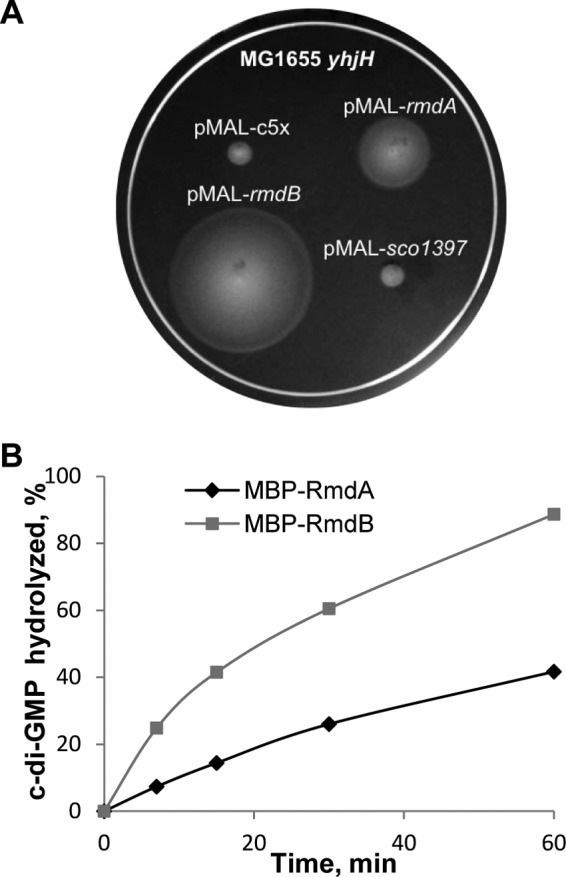 Fig 5