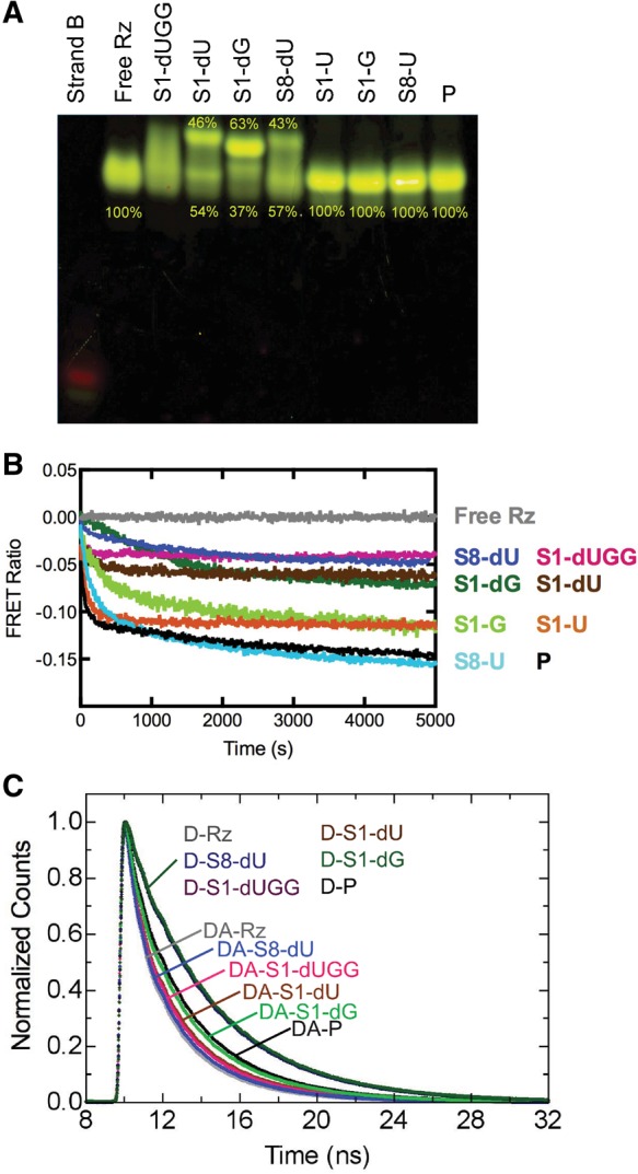 FIGURE 2.