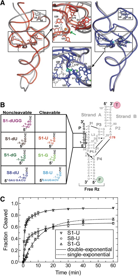 FIGURE 1.