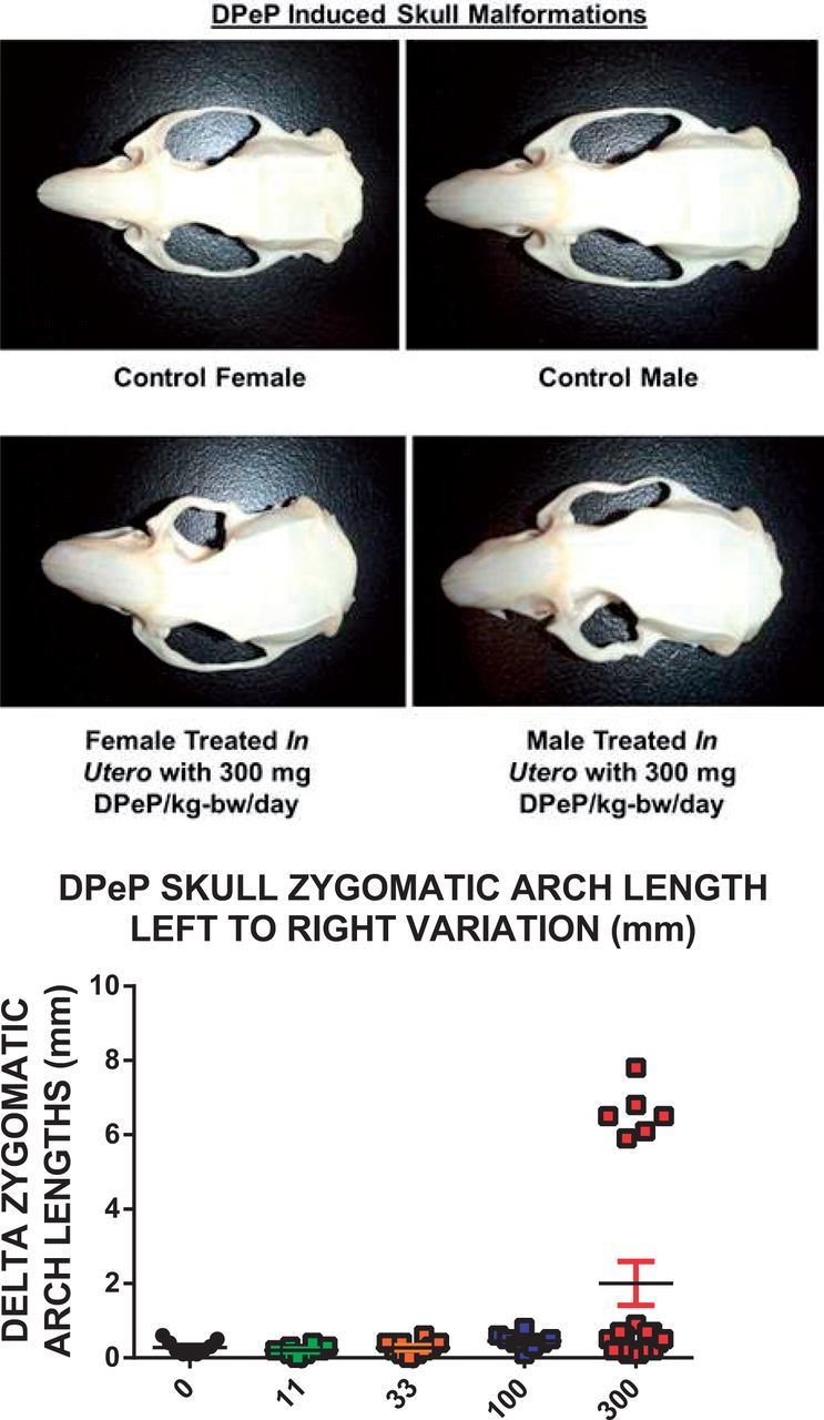 FIG. 7.