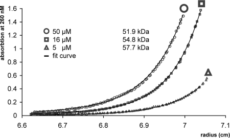 Fig. 2.