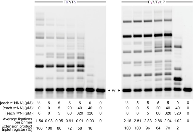 Figure 6—figure supplement 5.