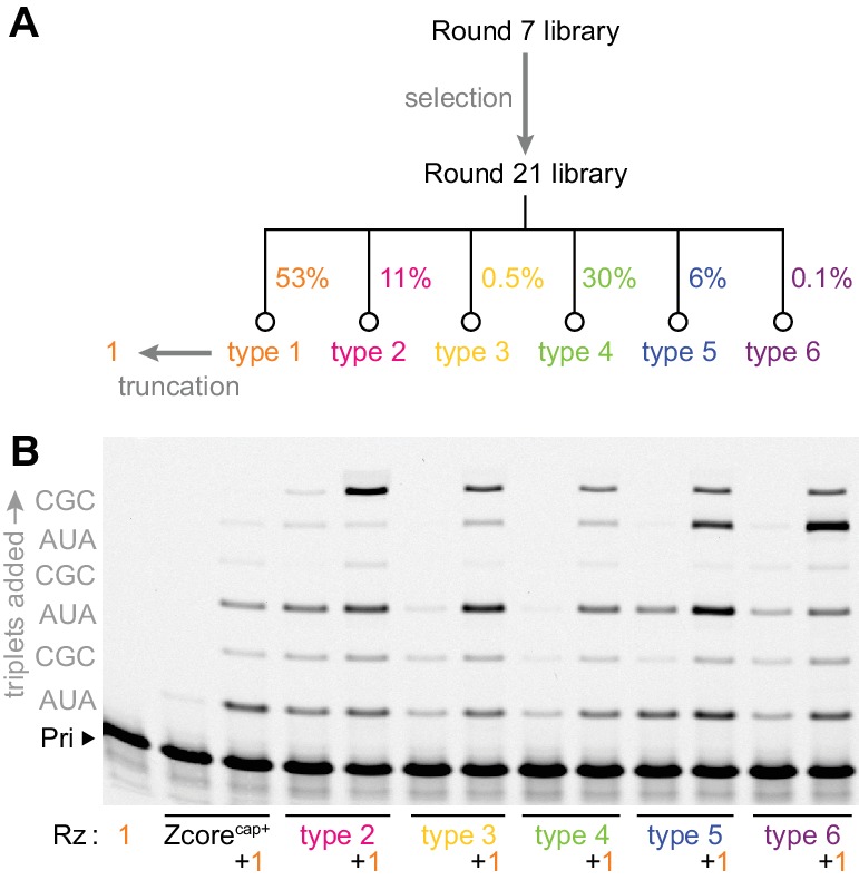 Figure 2.