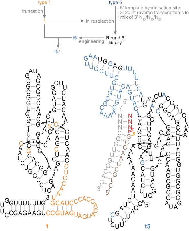 Figure 4.