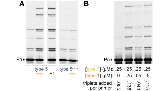 Figure 3—figure supplement 1.