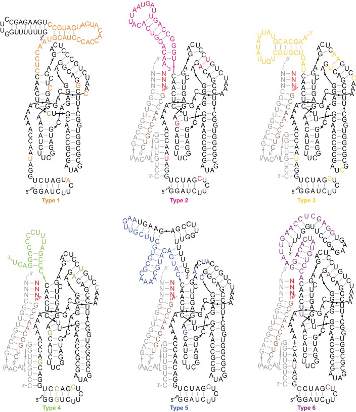 Figure 2—figure supplement 1.