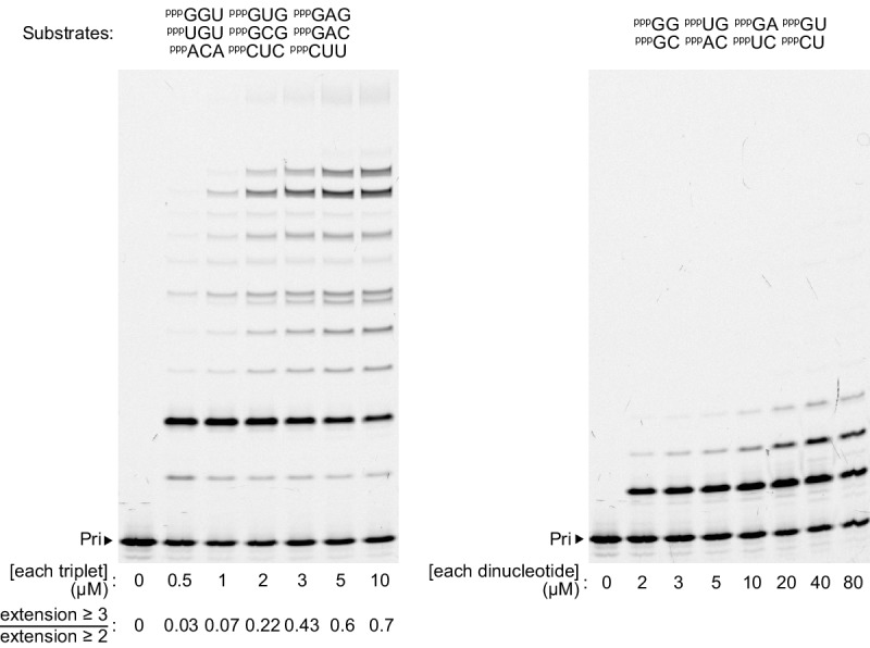 Figure 5—figure supplement 2.