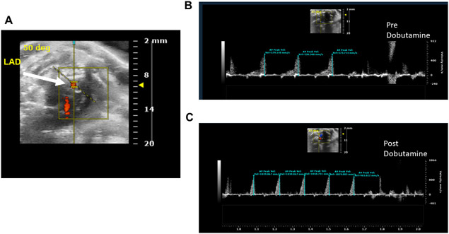 Figure 2: